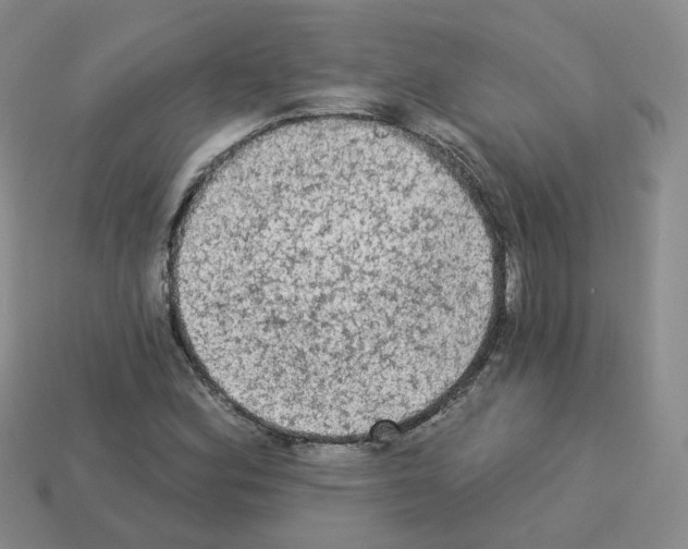 X0000112821164200910021155