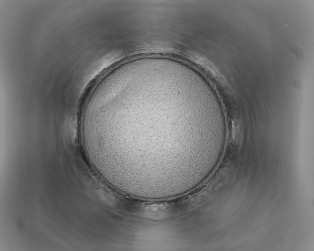 X0000112821165200910021155