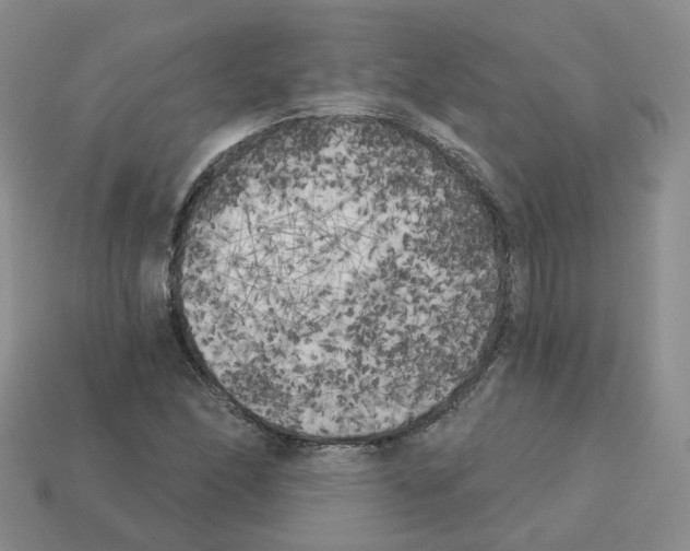 X0000112821166200910021155