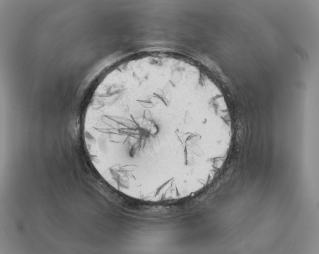 X0000112821167200910021155