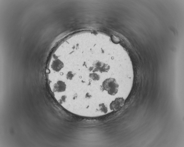 X0000112821168200910021155