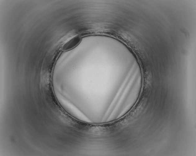 X0000112821169200910021155