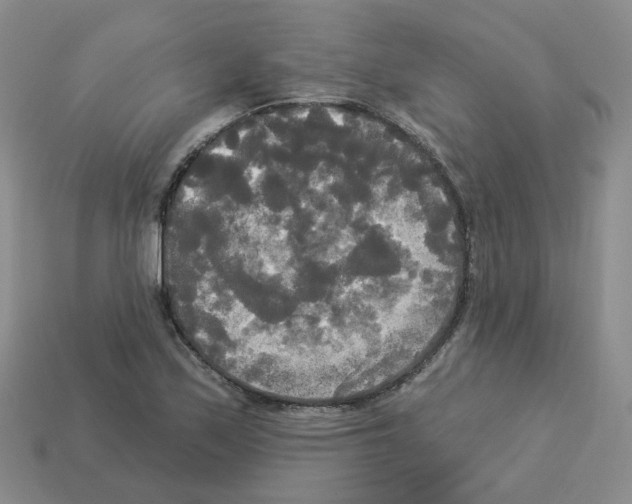 X0000112821171200910021155