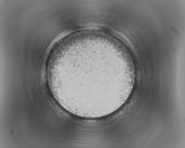 X0000112821172200910021155