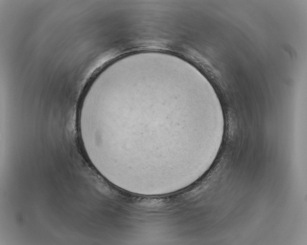 X0000112821174200910021155