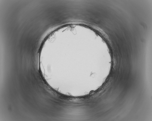 X0000112821175200910021155