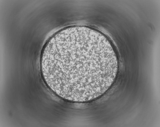 X0000112821176200910021155