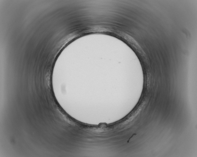 X0000112821177200910021155