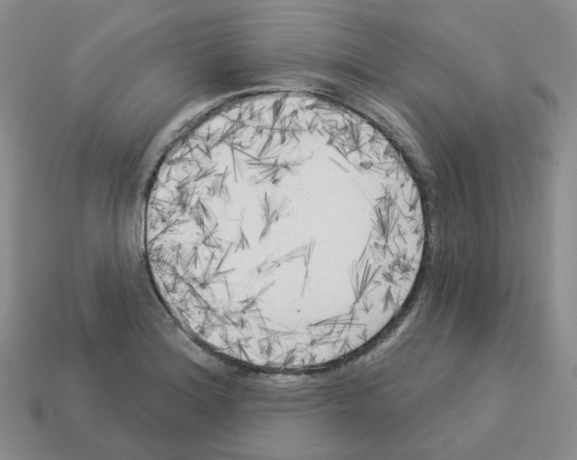 X0000112821180200910021155