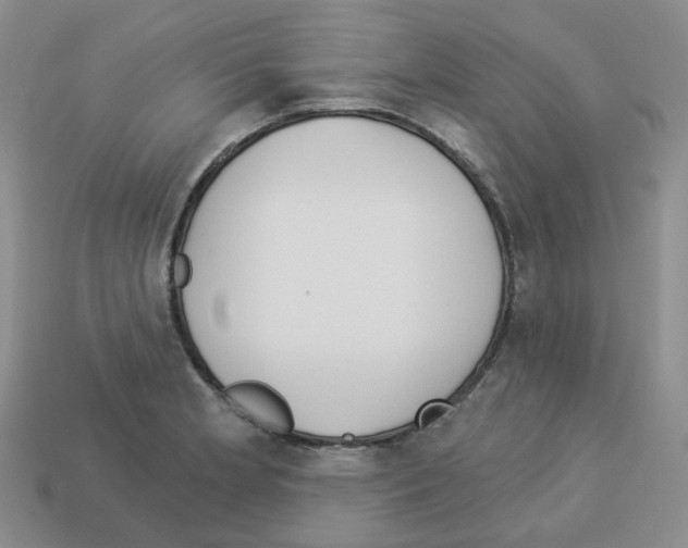 X0000112821181200910021155