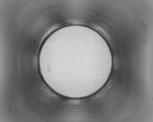 X0000112821182200910021155