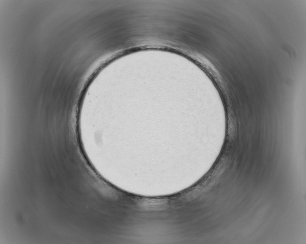 X0000112821183200910021155