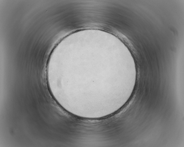 X0000112821184200910021155