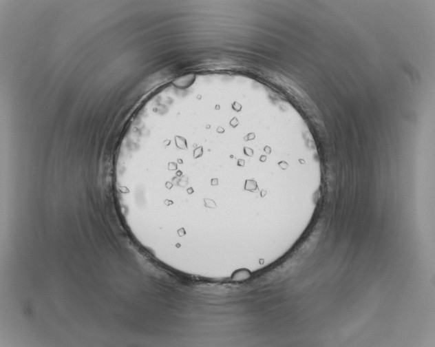 X0000112821185200910021155