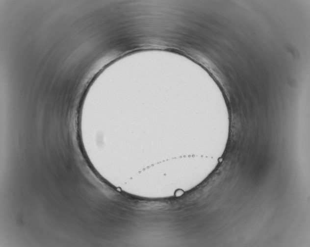 X0000112821187200910021155