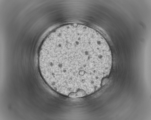 X0000112821188200910021155