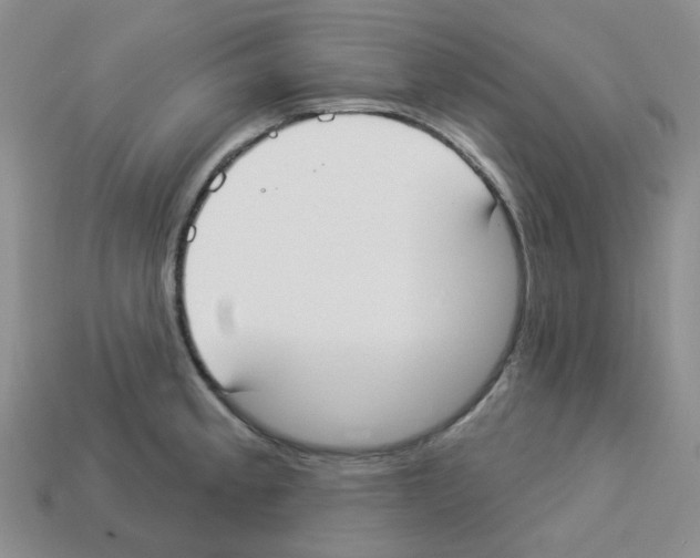 X0000112821189200910021155