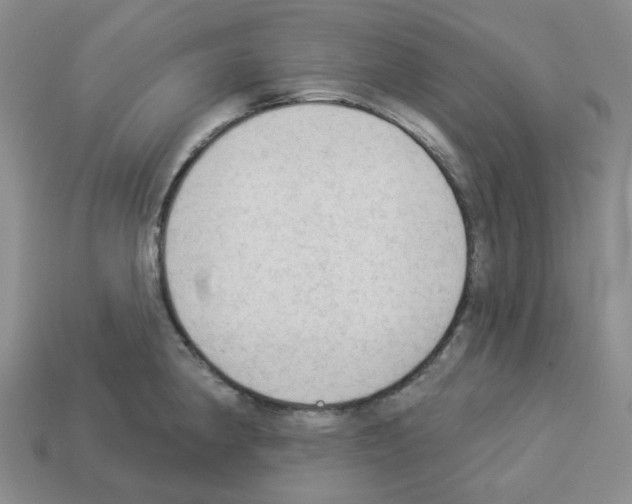 X0000112821190200910021155