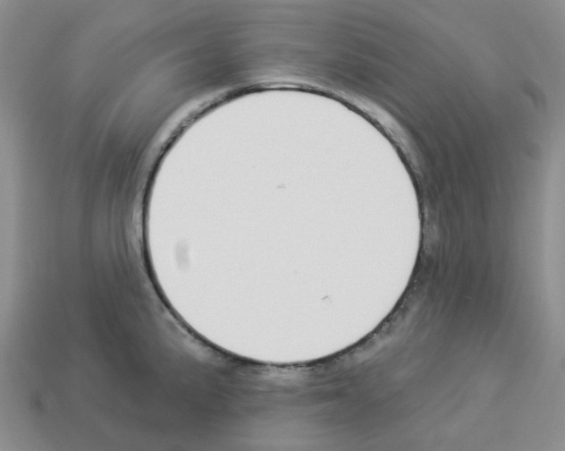 X0000112821191200910021155