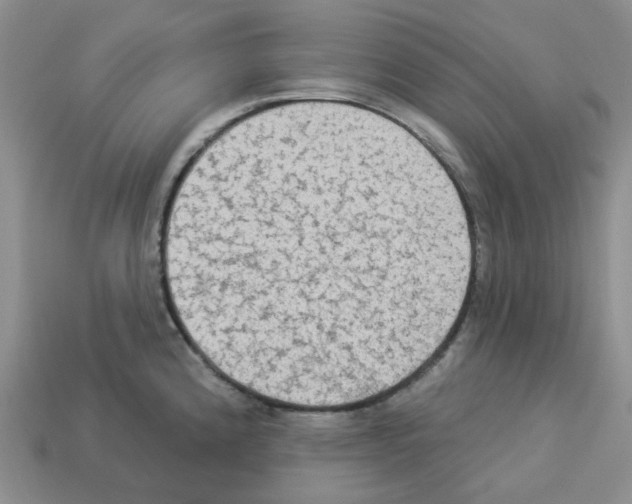 X0000112821192200910021155