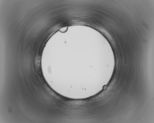 X0000112821193200910021155