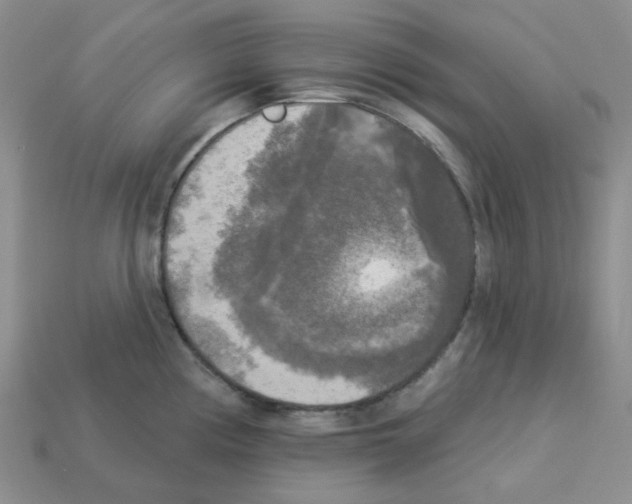 X0000112821194200910021155