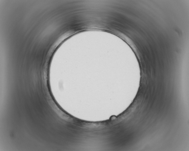 X0000112821195200910021155