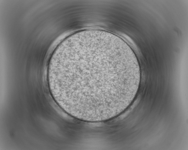 X0000112821196200910021155