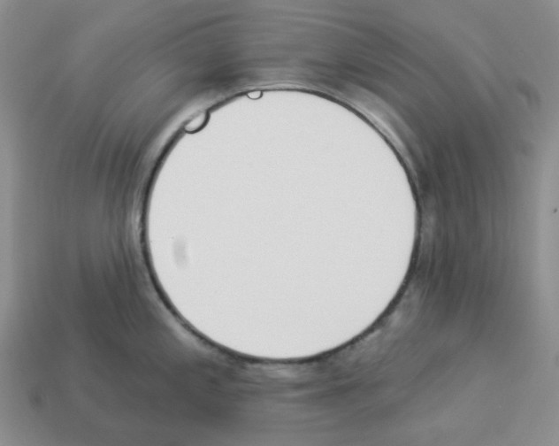 X0000112821197200910021155