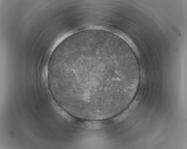 X0000112821198200910021155