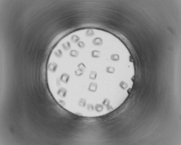 X0000112821199200910021155