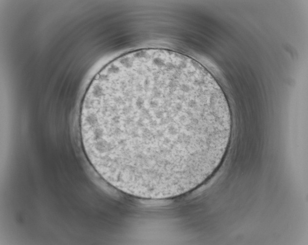 X0000112821200200910021155