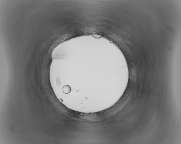 X0000112821201200910021154