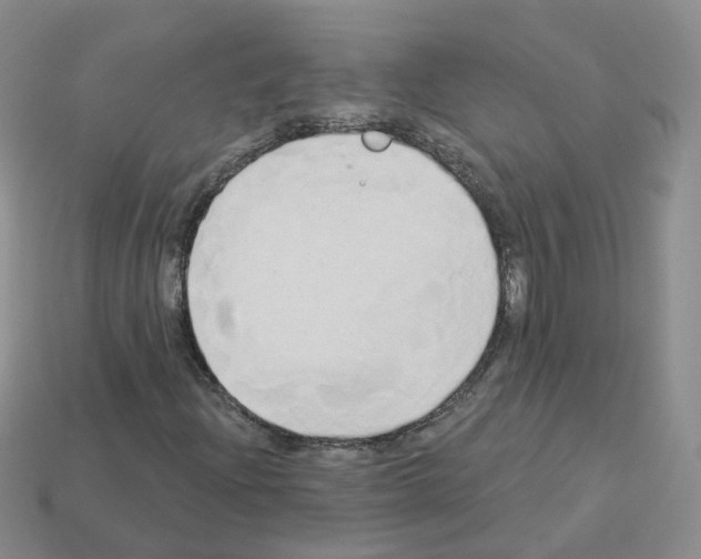 X0000112821204200910021154