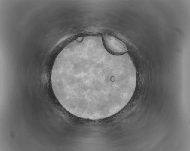 X0000112821206200910021154