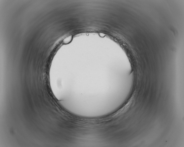 X0000112821210200910021154