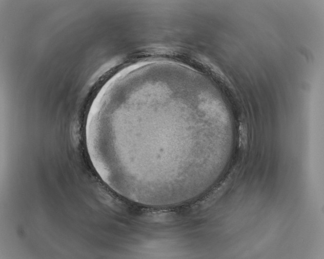 X0000112821213200910021154