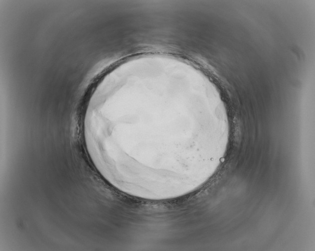 X0000112821215200910021154