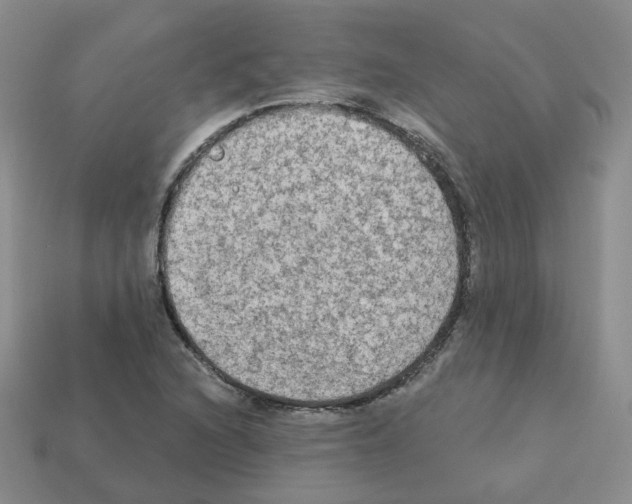 X0000112821216200910021154