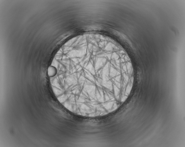 X0000112821217200910021155