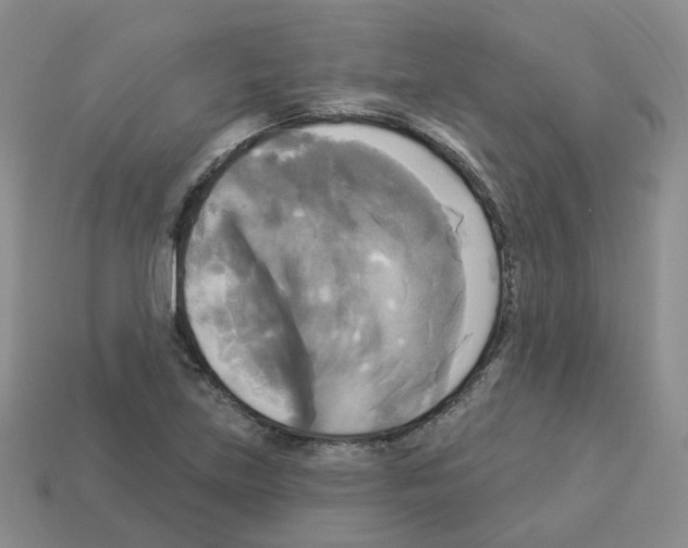 X0000112821219200910021155