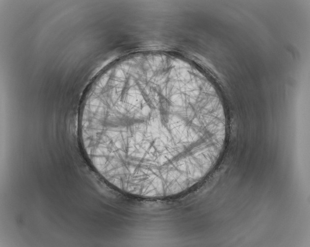 X0000112821220200910021155