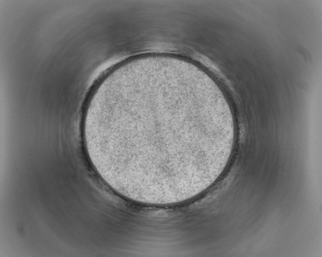 X0000112821222200910021155