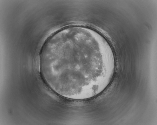 X0000112821223200910021155