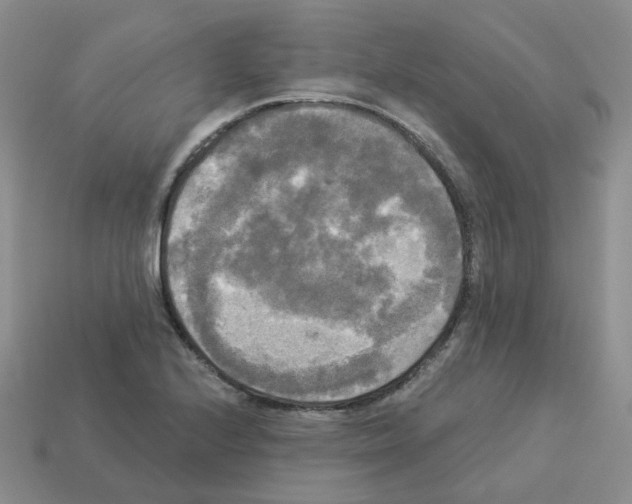 X0000112821224200910021155