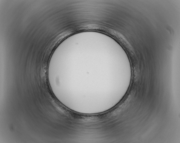 X0000112821225200910021155