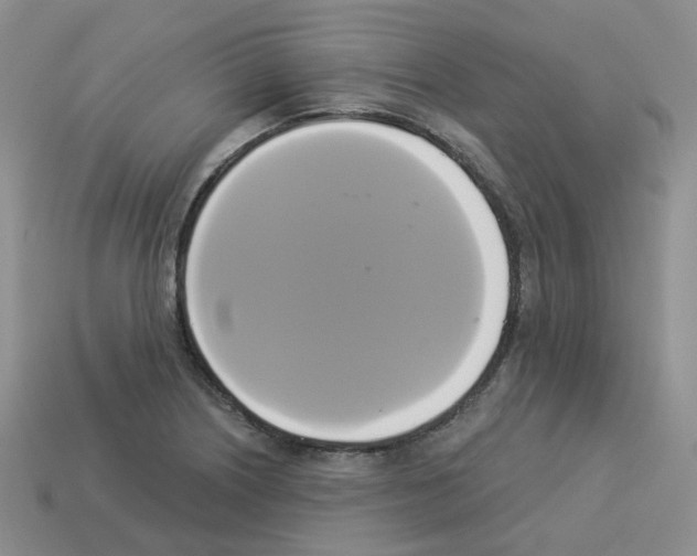 X0000112821226200910021155