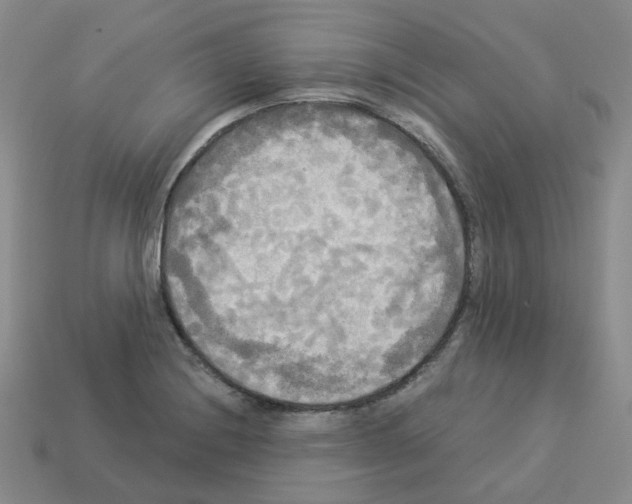 X0000112821228200910021155