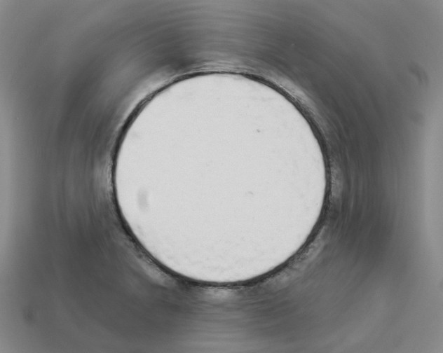 X0000112821230200910021155