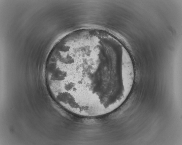 X0000112821231200910021155